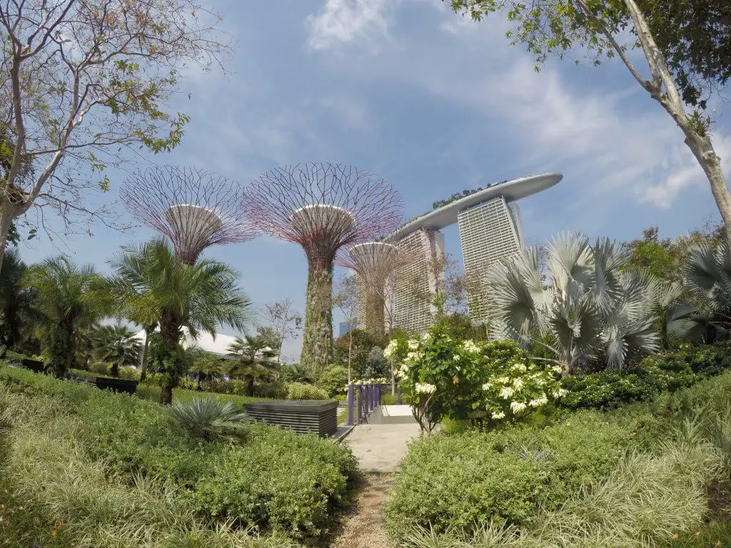 Super tree grove in Singapore.