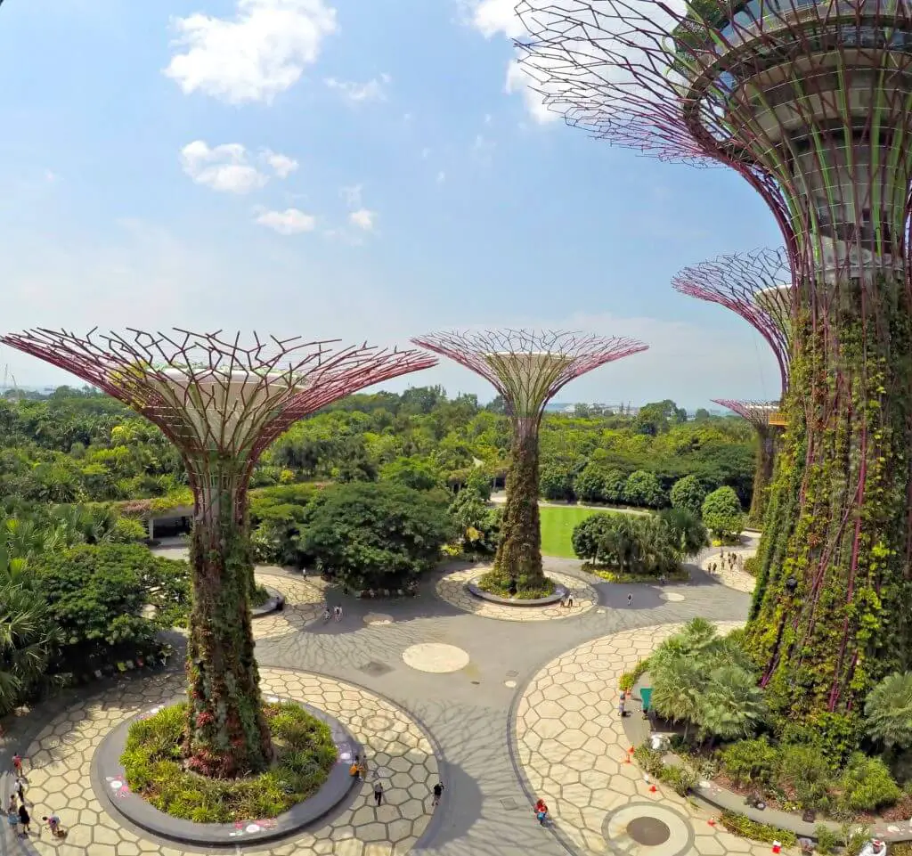 Amazing supertrees