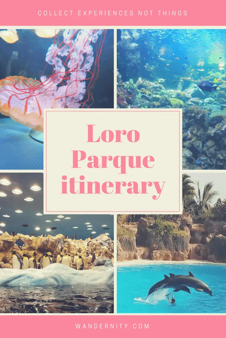Loro Parque itinerary