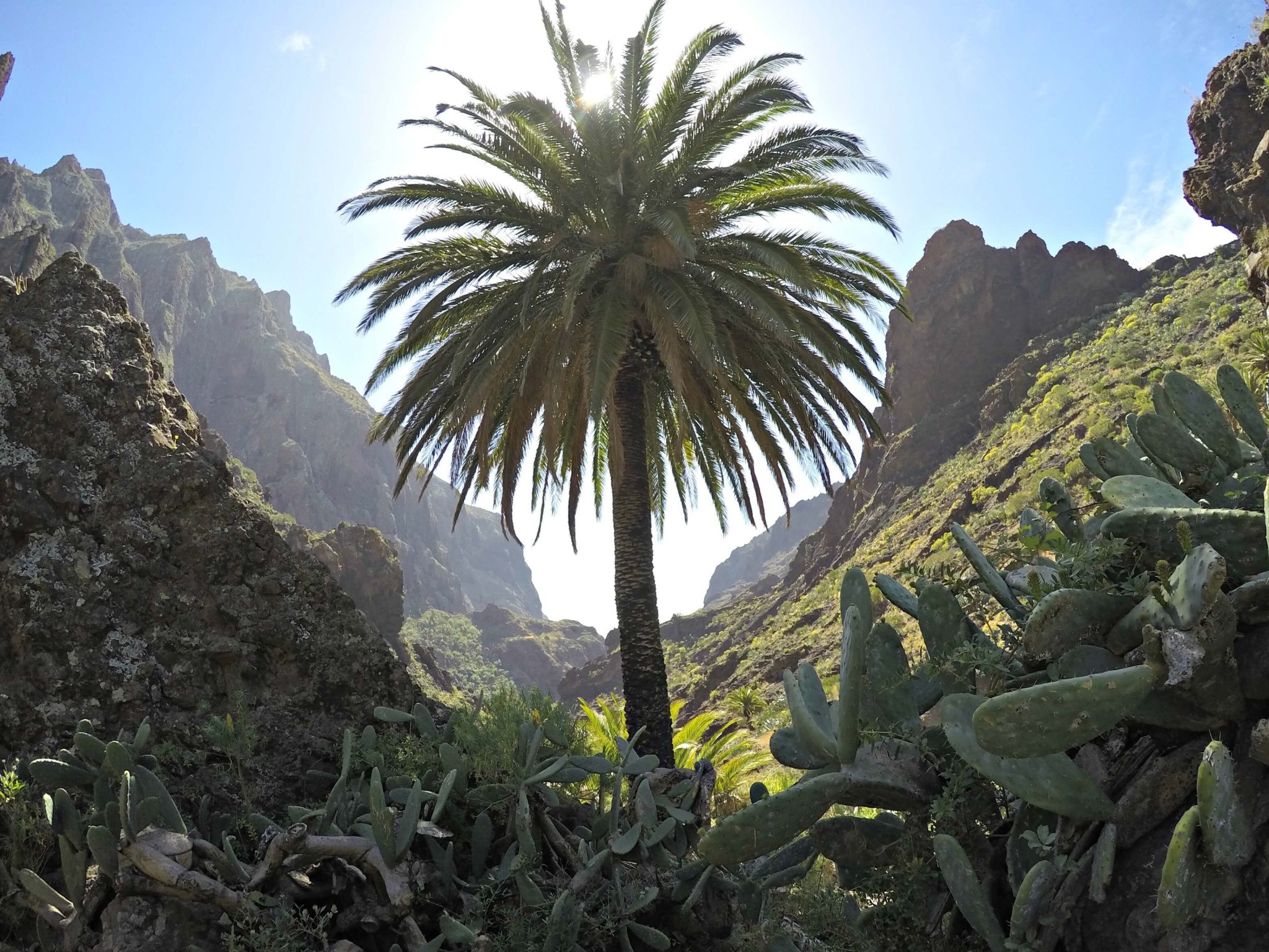 5 Things to Know Before Traveling to Tenerife.