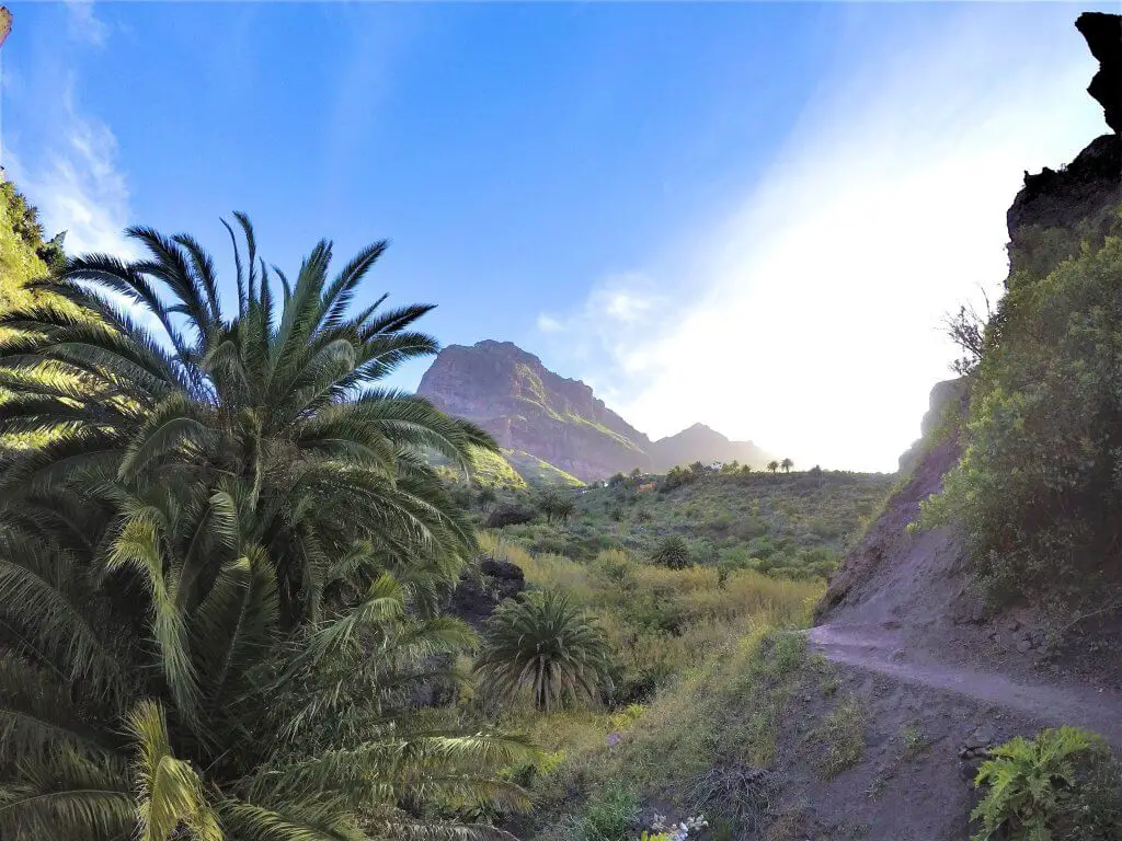 Masca Valley, Tenerife