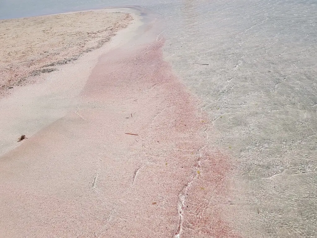 Pink sand of Elafonissi beach in Crete