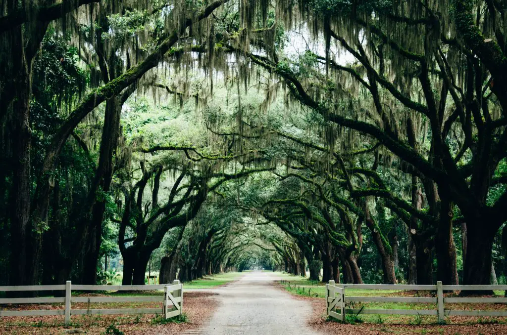 Savannah, Georgia