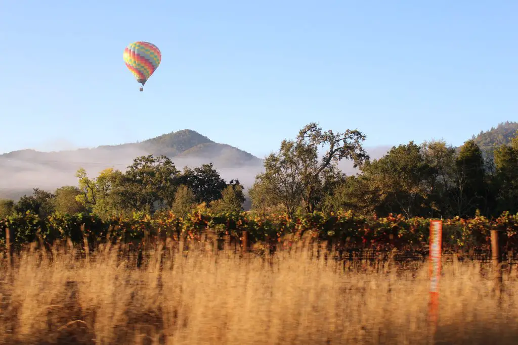 Napa Valley, California