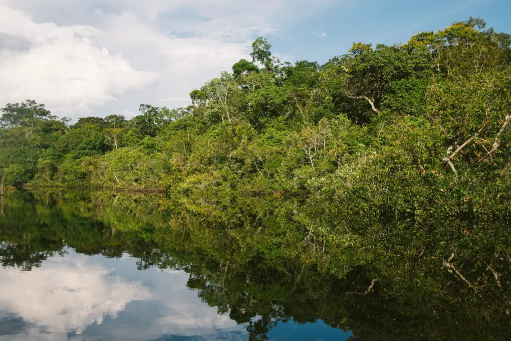 Amazon Jungle, Brazil