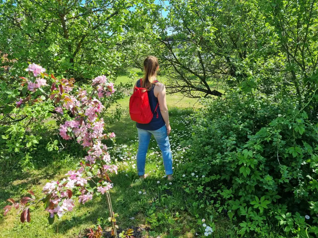 Fjallraven Kanken backpack in nature