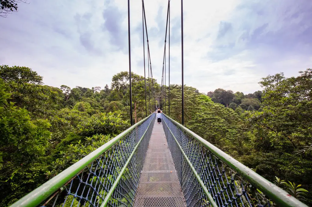 MacRitchie Reservoir, Singapore