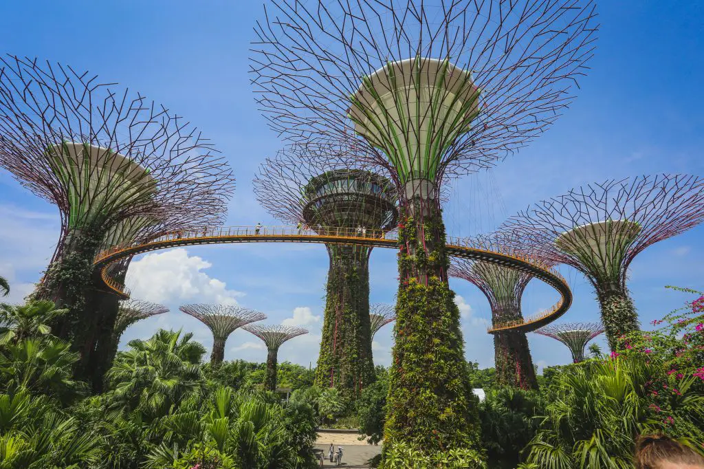 Gardens by the Bay, Singapore