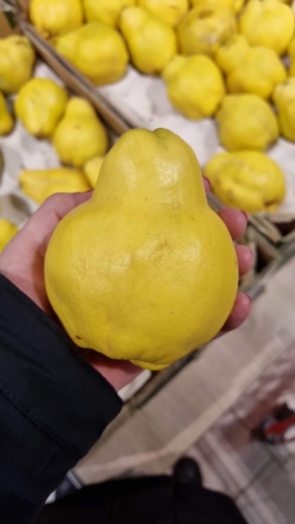 Enormous quince
