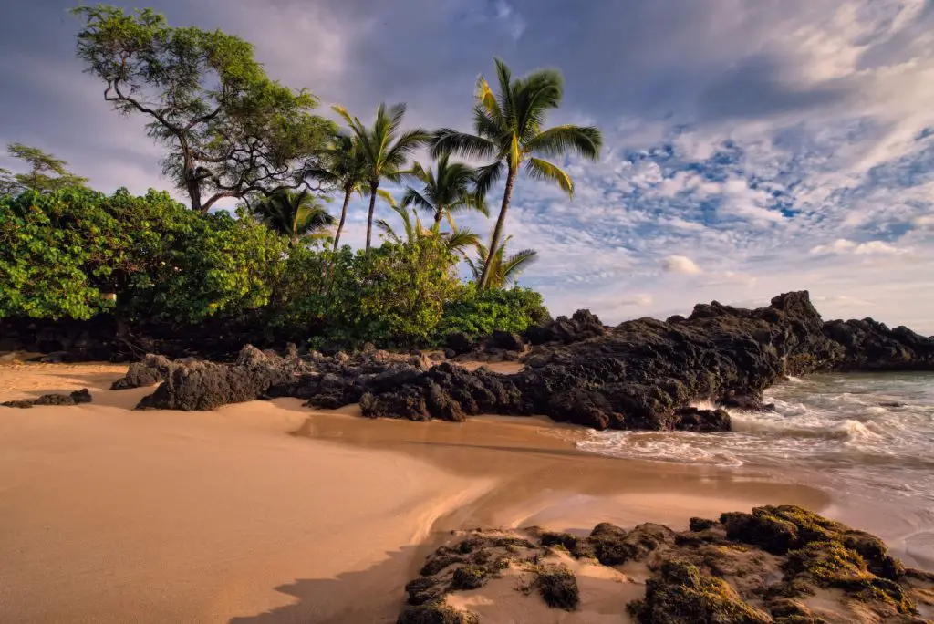 green trees and stones on seaside