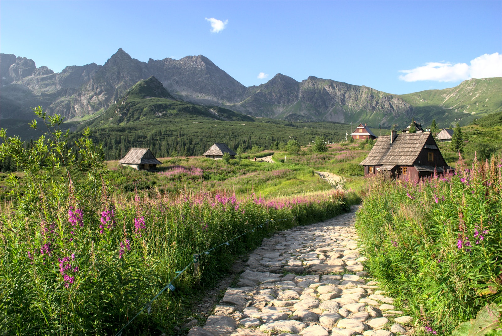 Is Zakopane Worth Visiting? Discover the Charming Mountain Town Wandernity