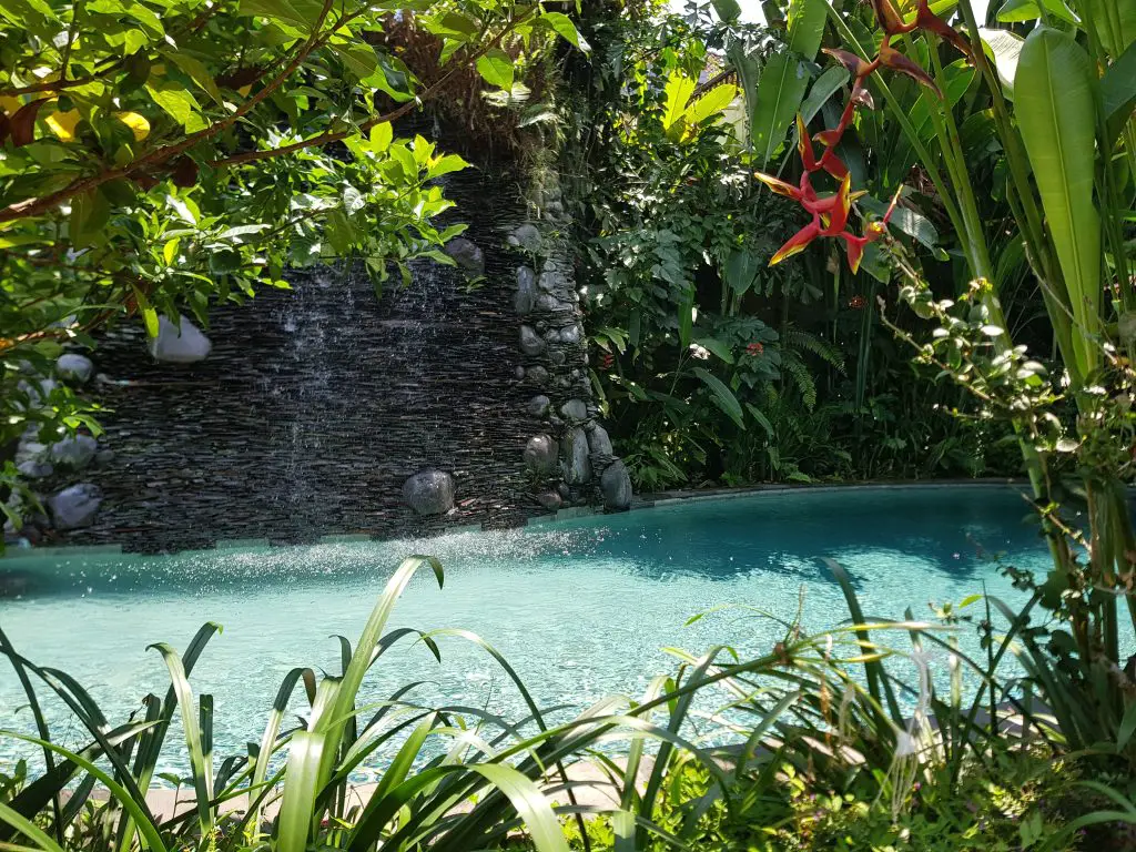 A hotel pool in Ubud, Bali